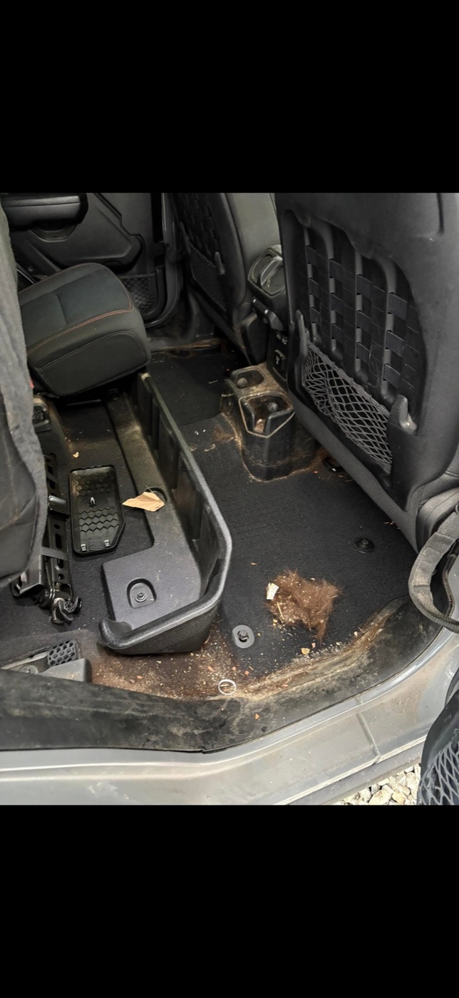 Muddy vehicle floor before cleaning